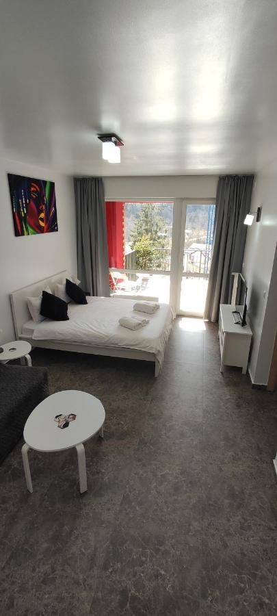 Belle View Sinaia-Free Parking Apartment Ngoại thất bức ảnh