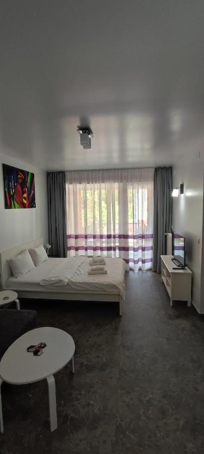 Belle View Sinaia-Free Parking Apartment Ngoại thất bức ảnh